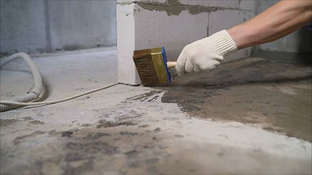 SJ Waterproofing Pros Interior Drainage System coverage map for Eagle, MI and surrounding area